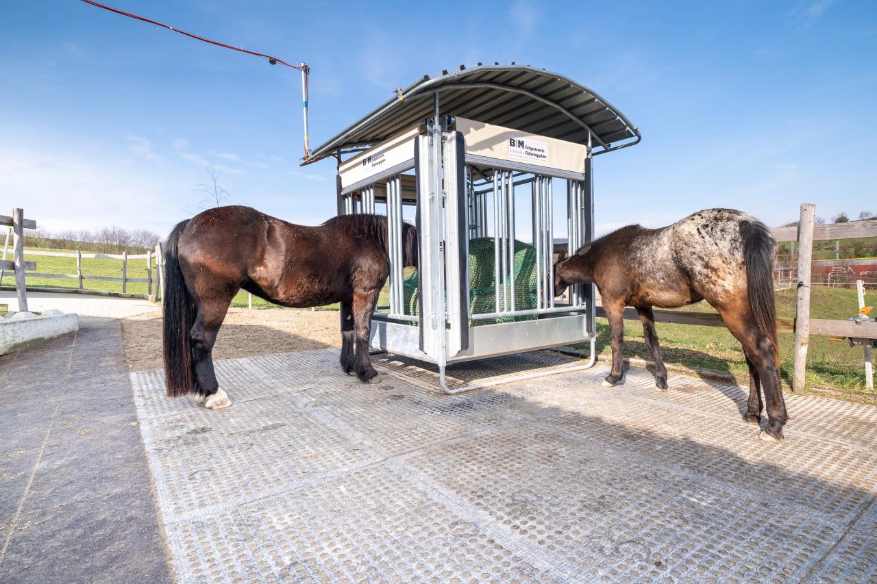 Automatische Fütterungsraufe 