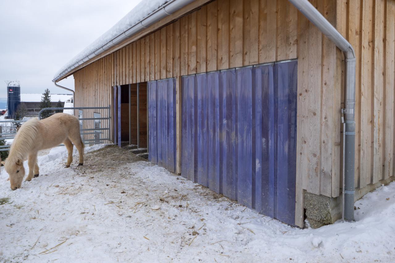 Streifenvorhang vor einem Stalleingang mit Schnee und einem weissem Pferd