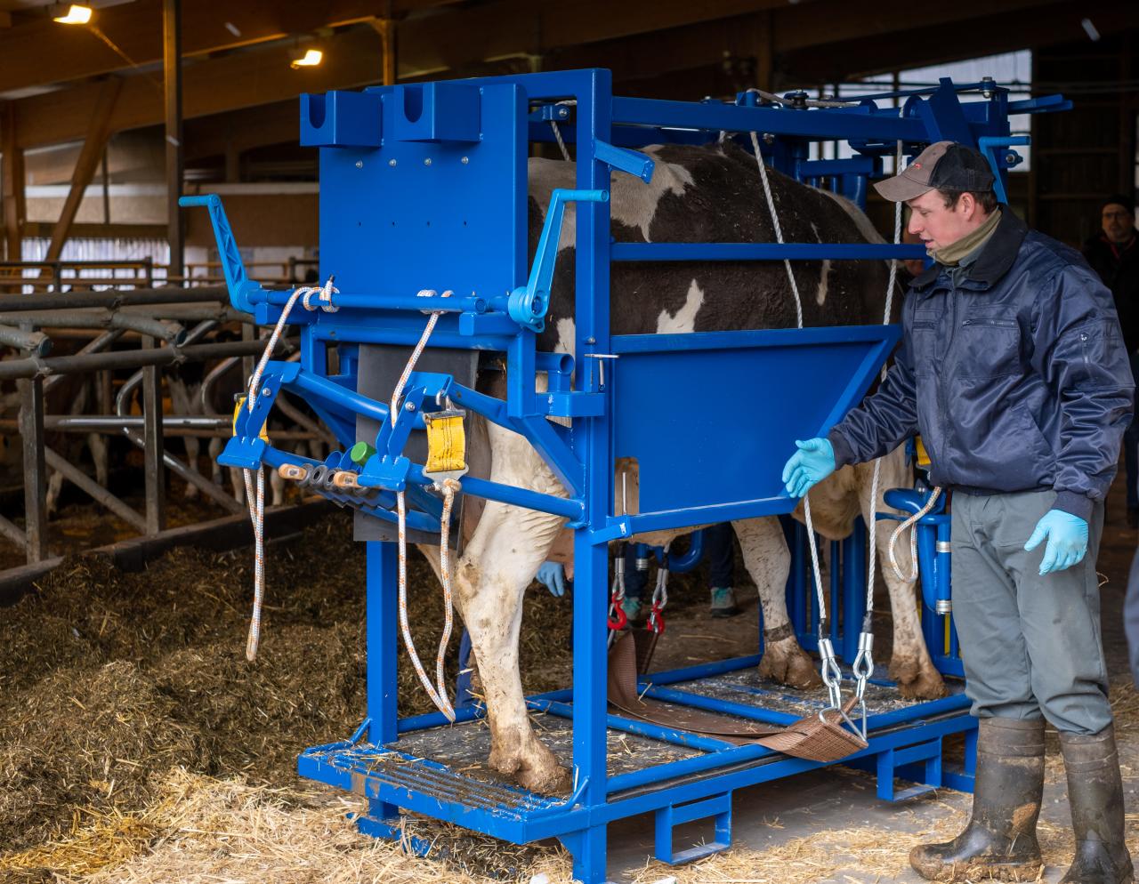 Klauenpflegestand KP  303