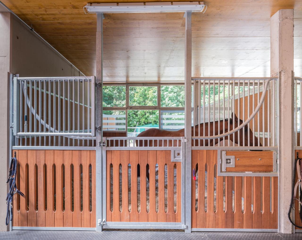 PFerdebox Typ Kandertal