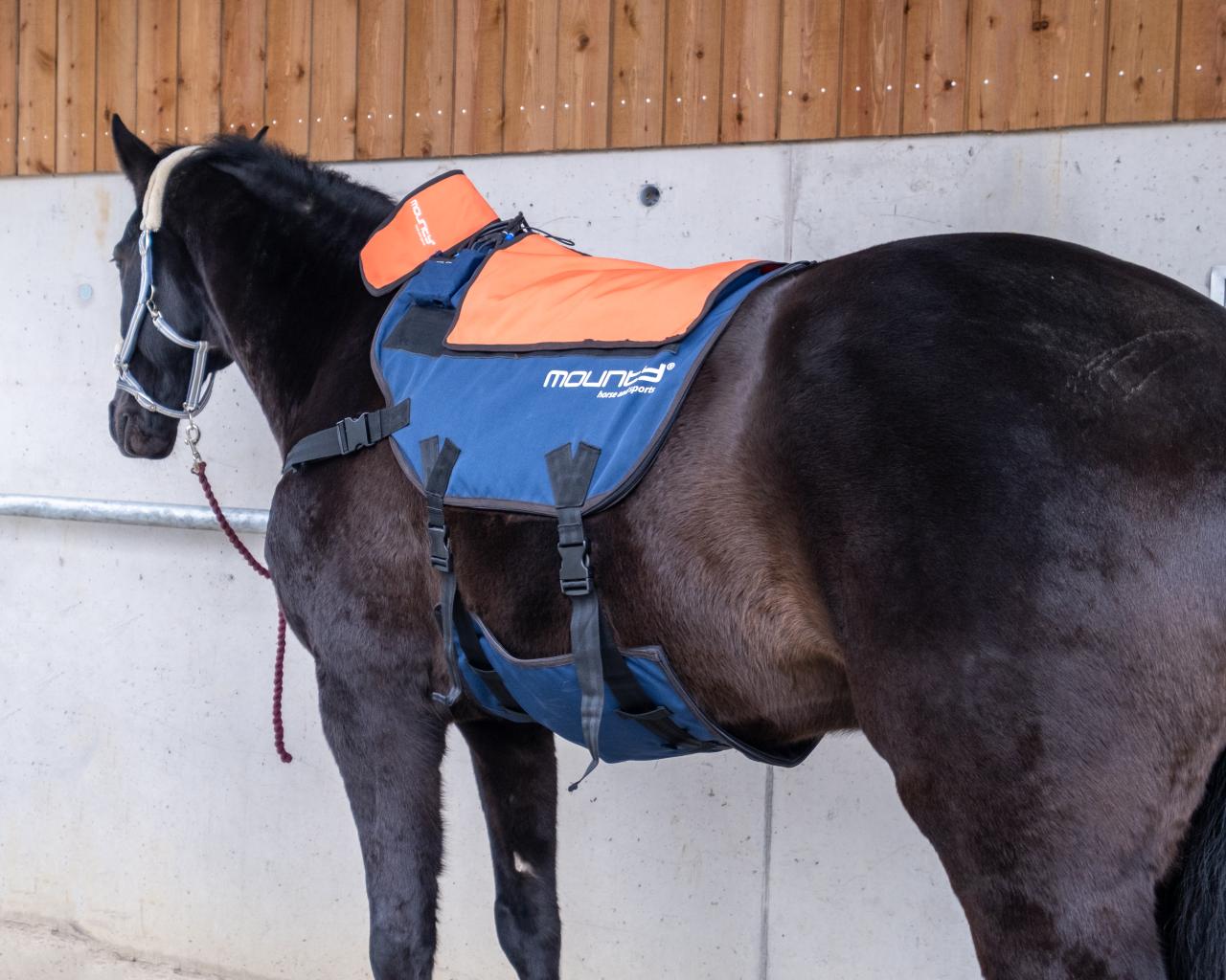 Mounty Wellnessdecke mit Pferd