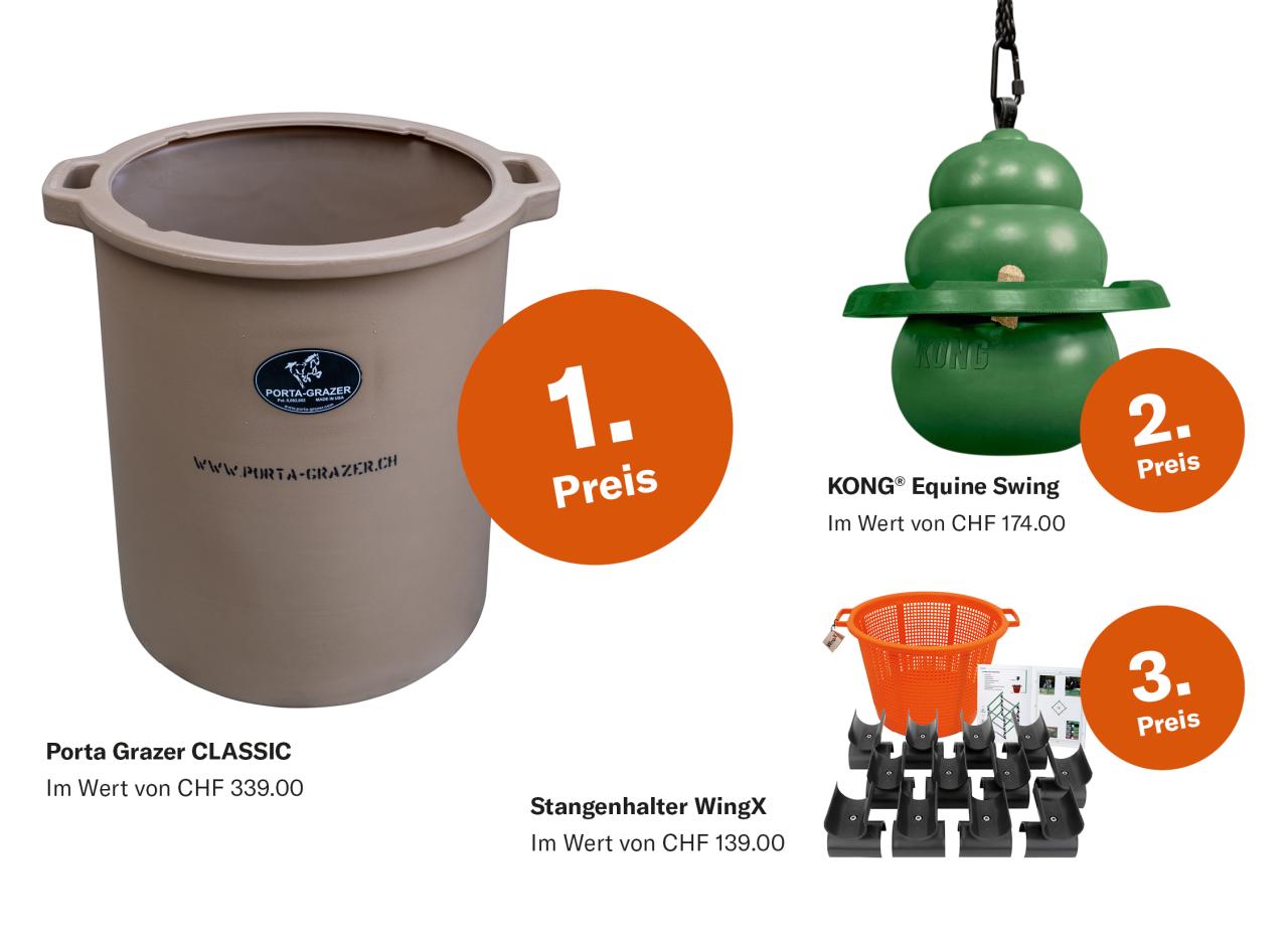 Porta Grazer, Kong und WingX