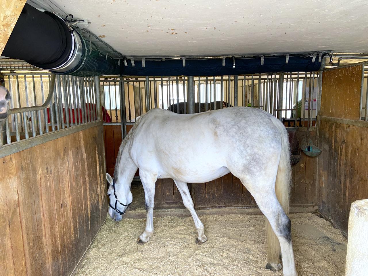 Lüftungsschlauch Equitube