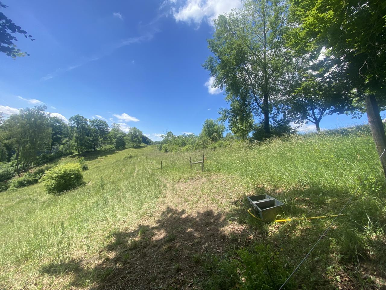 Tränketrog mit Festwasseranschluss im Grünen