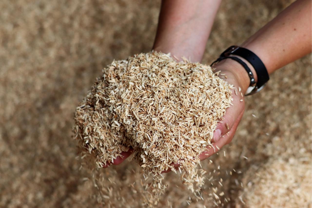 Boxengold mit zwei Händen