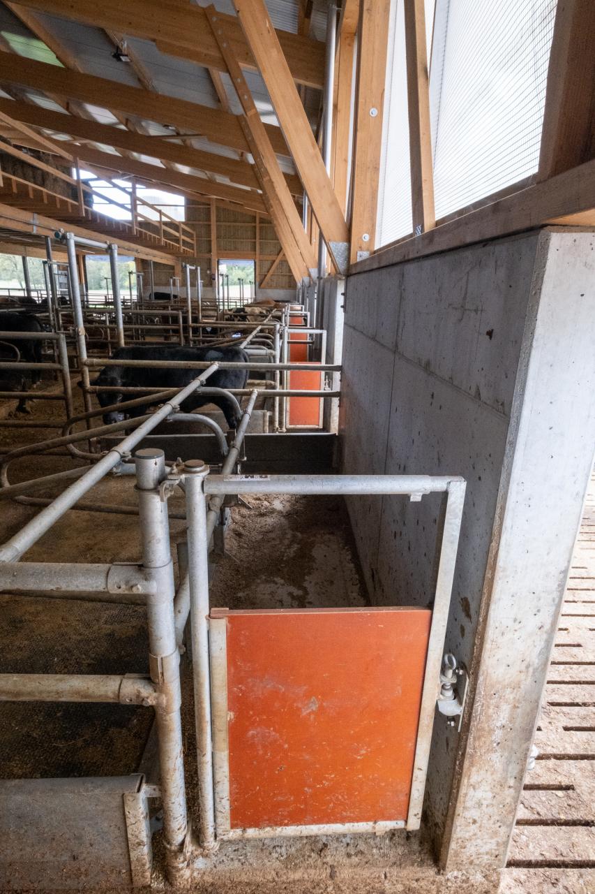 einfaches-arbeiten-dank-tueren-in-den-buchten