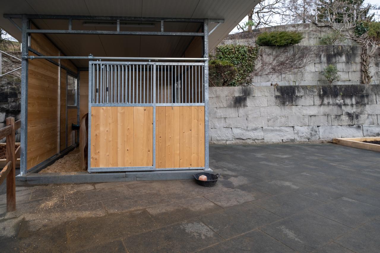 Weidestall in einem bewegungsstall