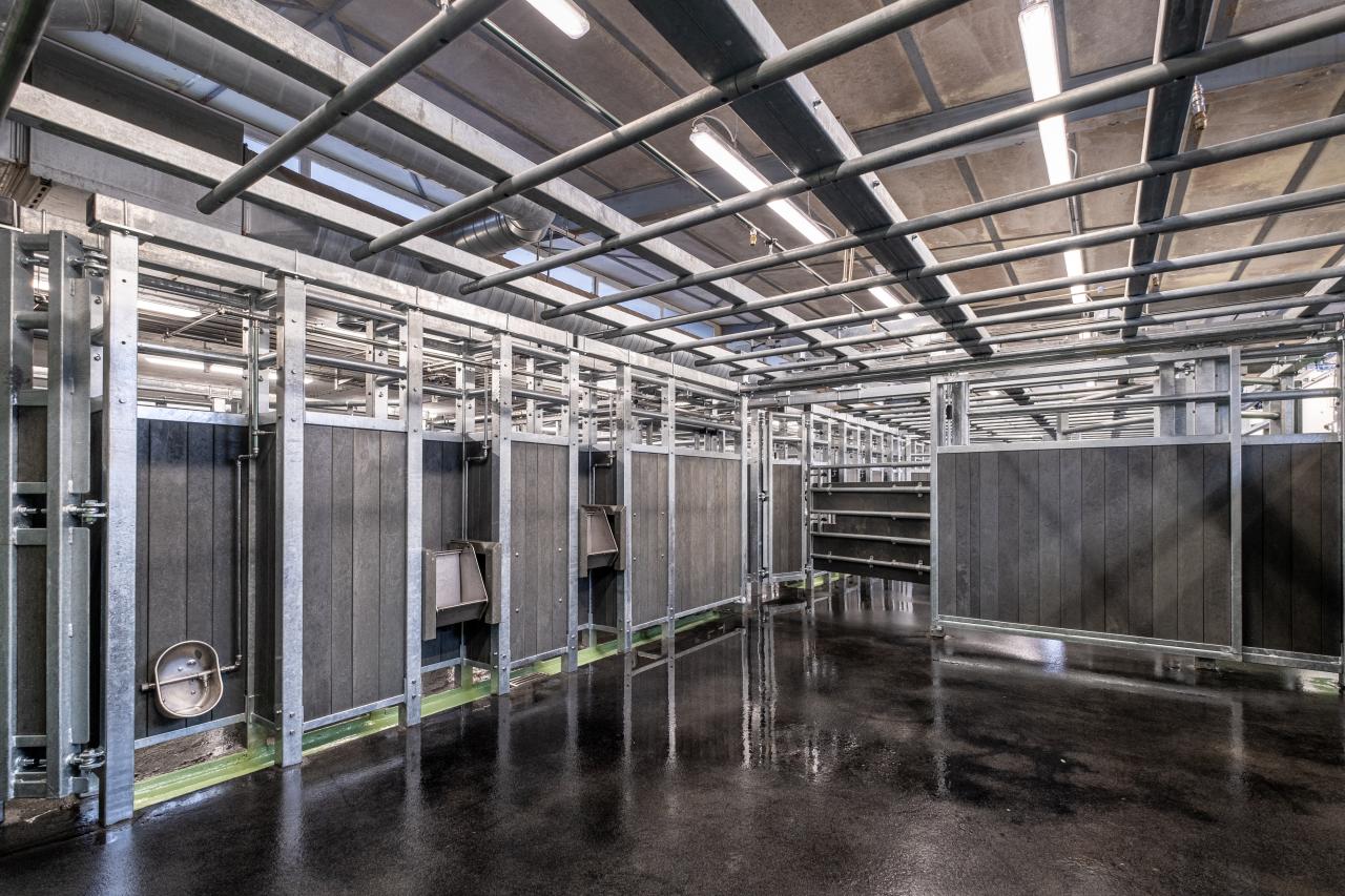 schlachthof-hinwil-8