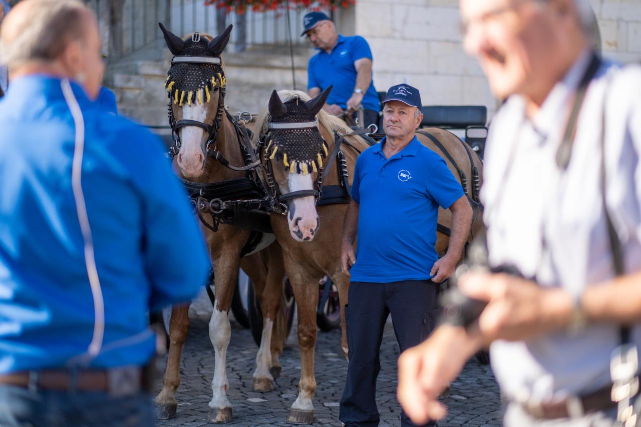 abritt-nach-saingelegier-1