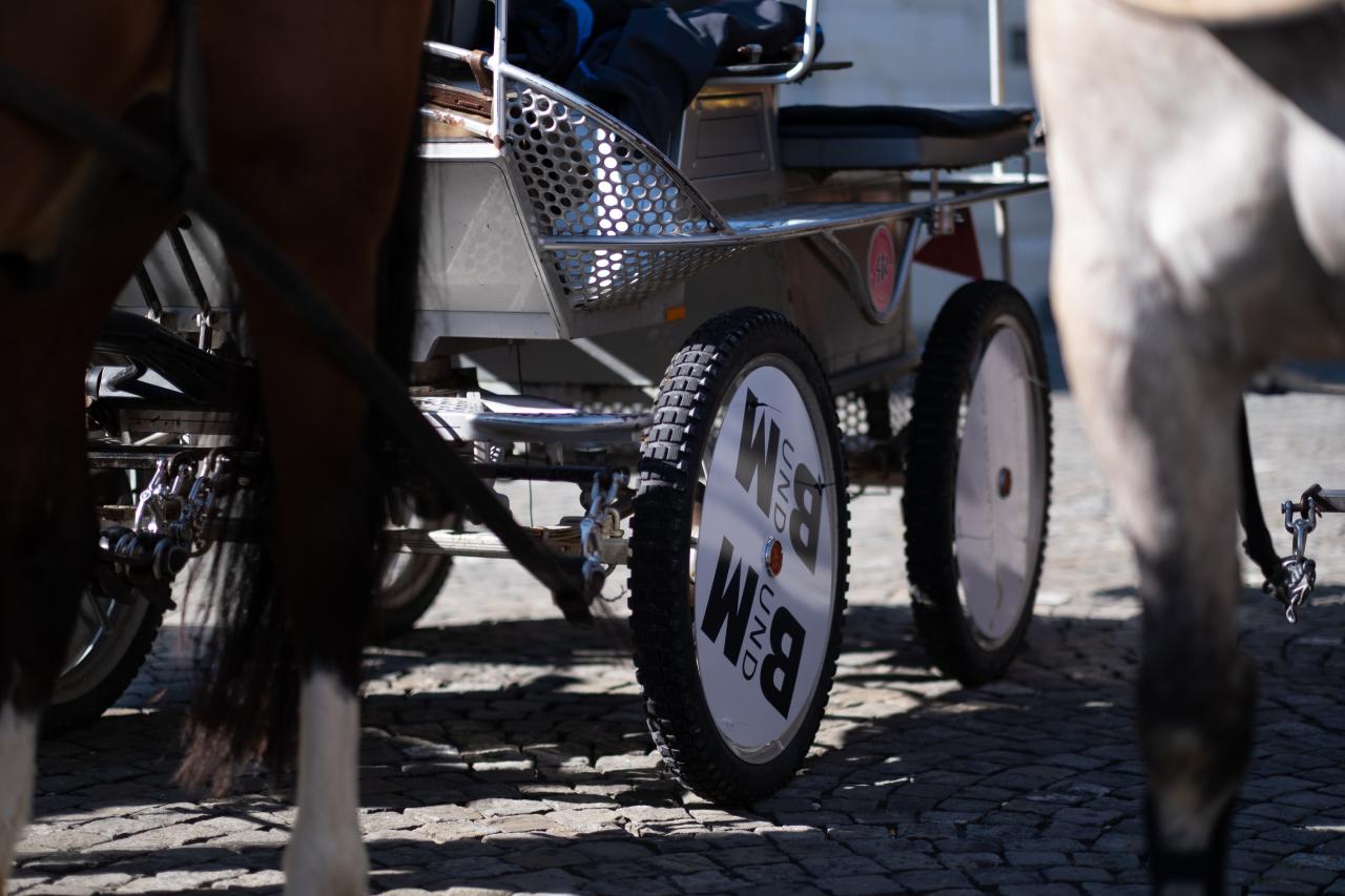 abritt-nach-saingelegier-4