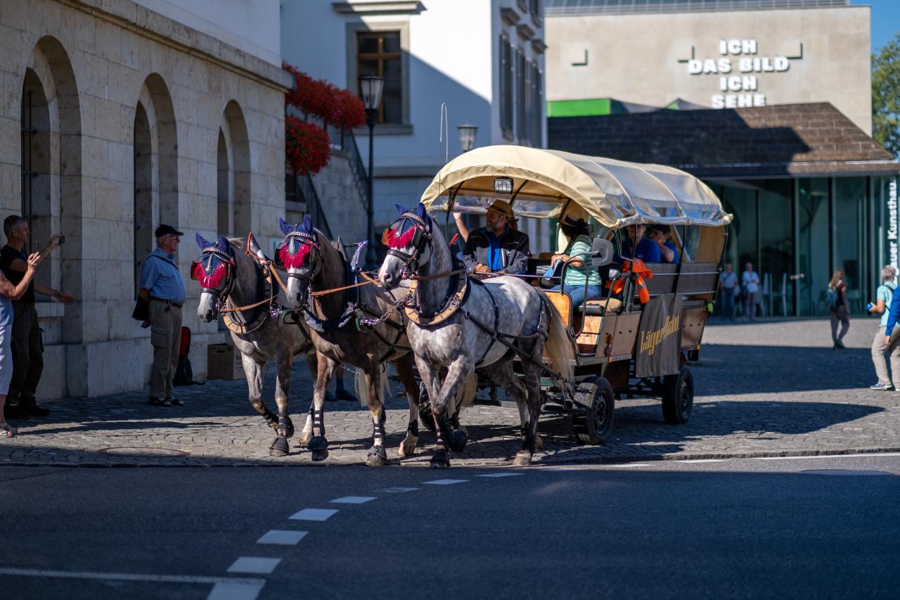 abritt-nach-saingelegier-6