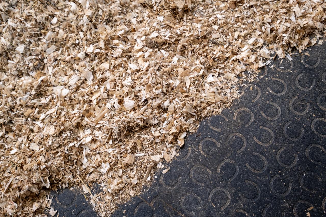 Mit Holzspänen kann eine weiche und bequeme Liegeschicht erzeugt werden.