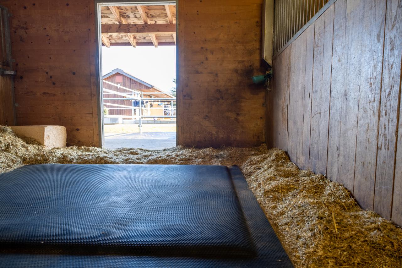 kuschelmatte-in-pferdebox