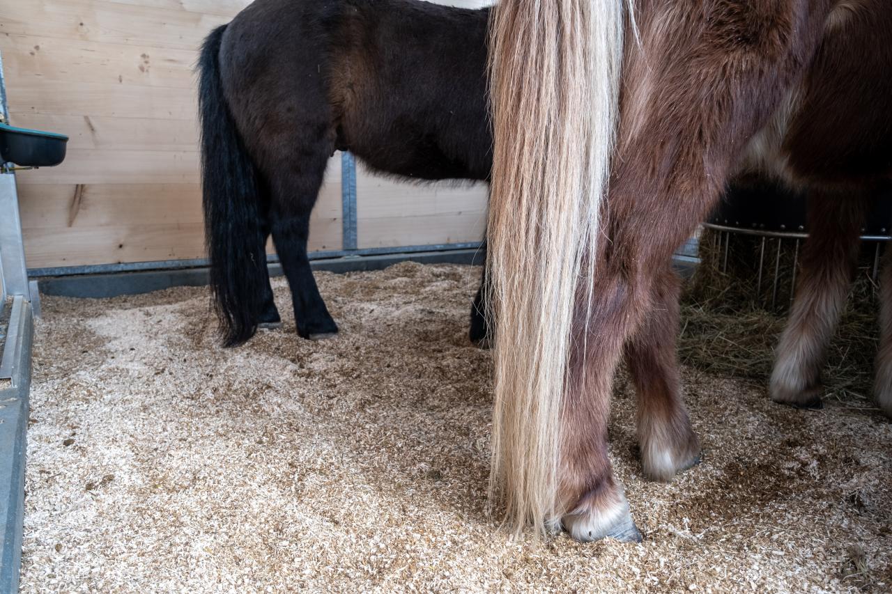 vorteile-gummimatte-in-pferdebox