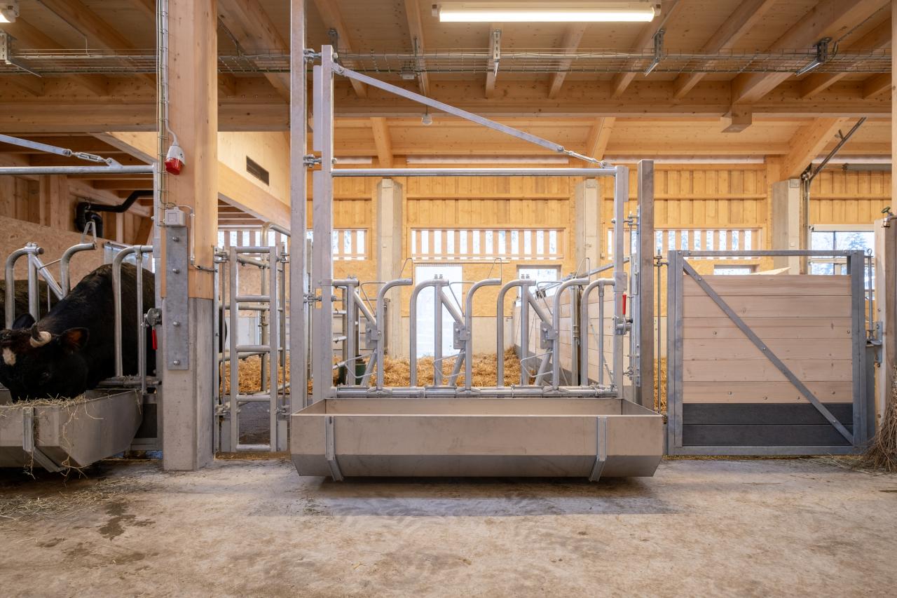 referenz-tierpark-goldau-2