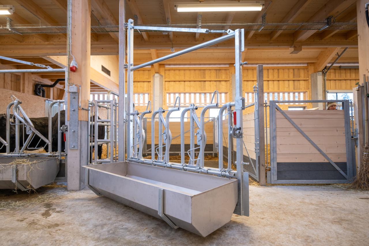 referenz-tierpark-goldau-3