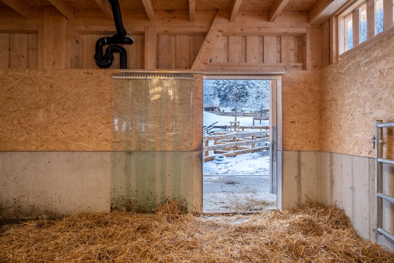 referenz-tierpark-goldau-4