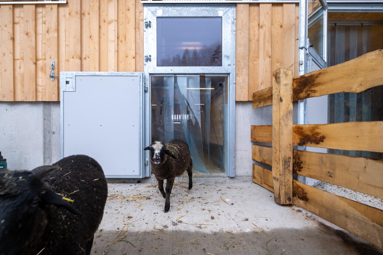 referenz-tierpark-goldau-5