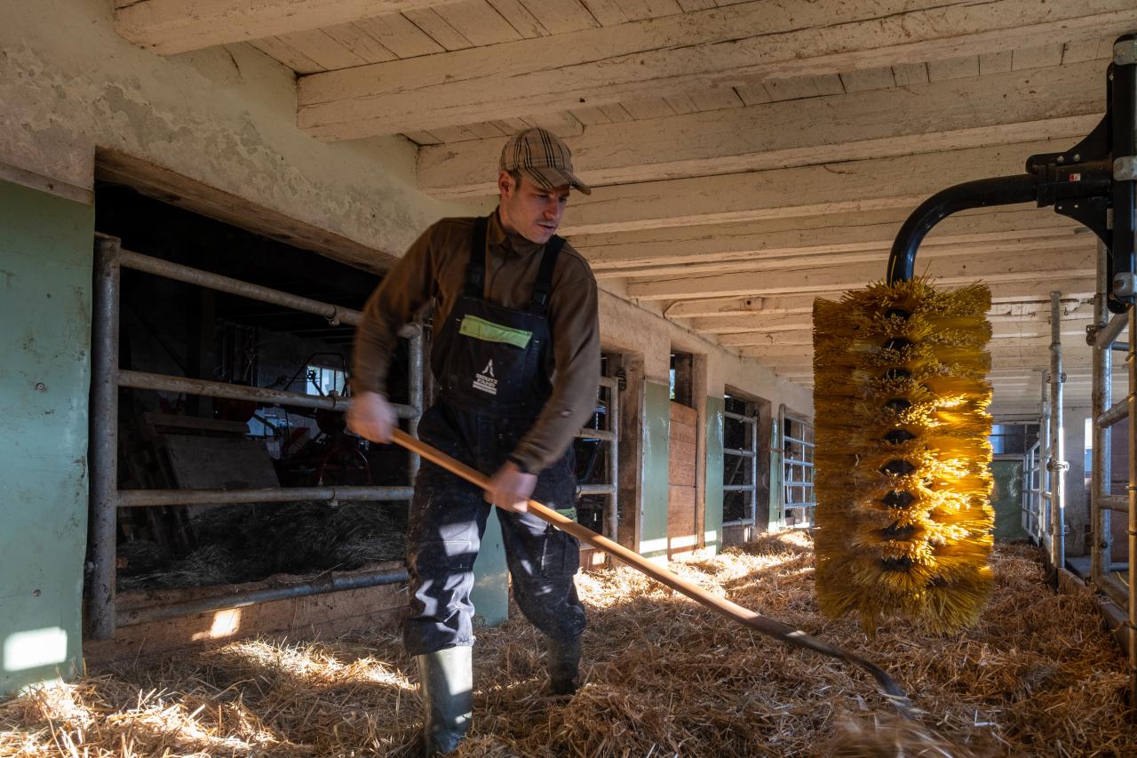 michael-huber-bm-2-bei-der-stallarbeit