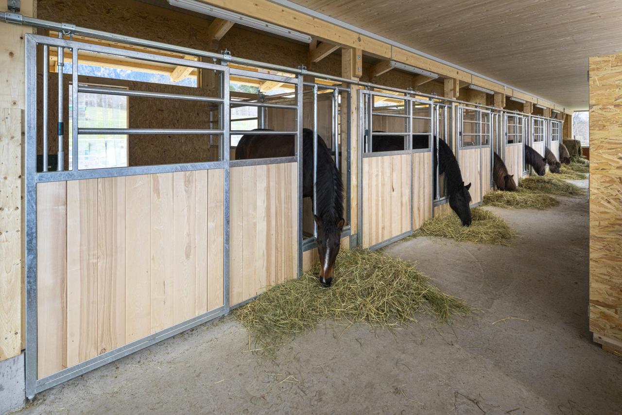 Arbeitserleichterung durch Fütterung im Stallgang