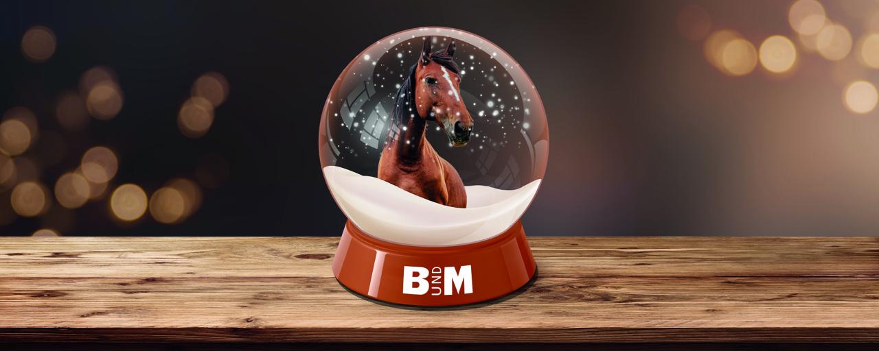 NL_Weihnachten_202211