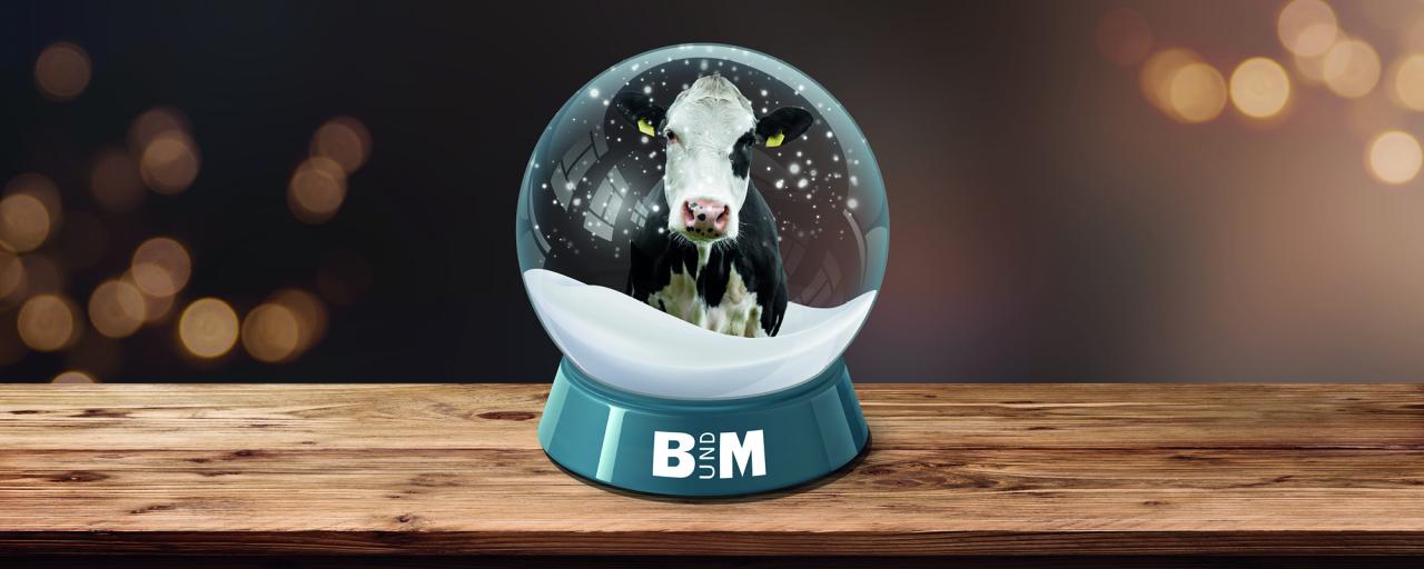 NL_Weihnachten_202212