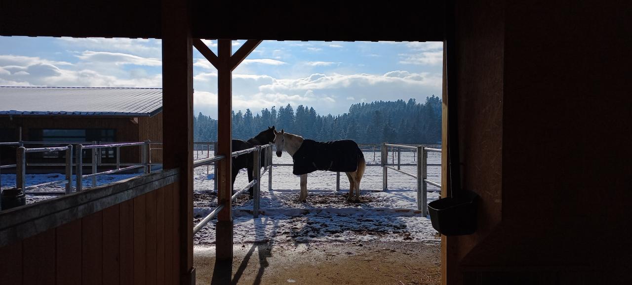 referenzobjekt-allerei-fasel-pferdestall-ausblick-winter