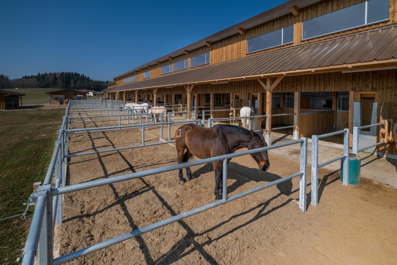 referenzobjekt-fasel-pferdestall