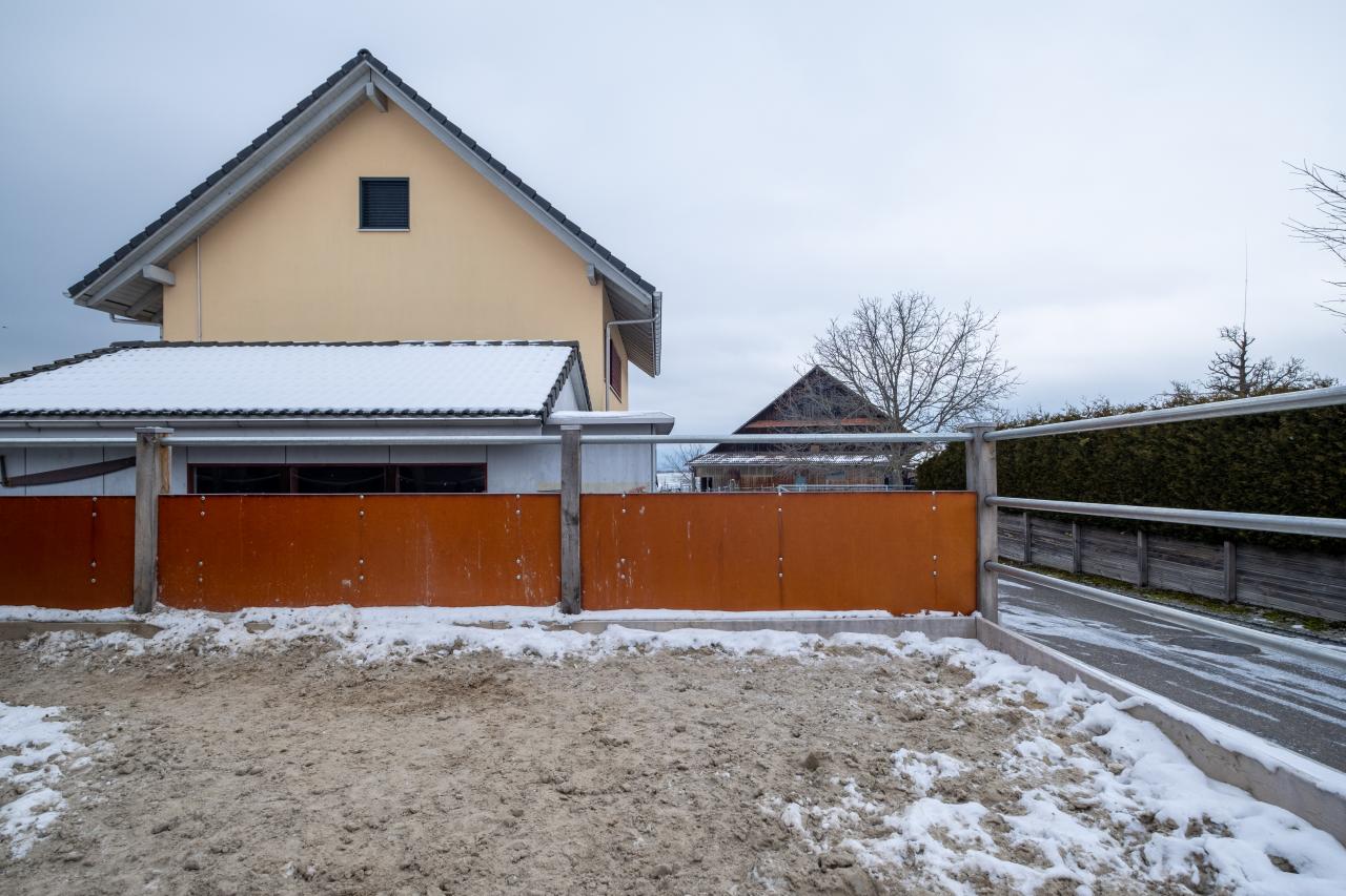 sauberer-reitplatz