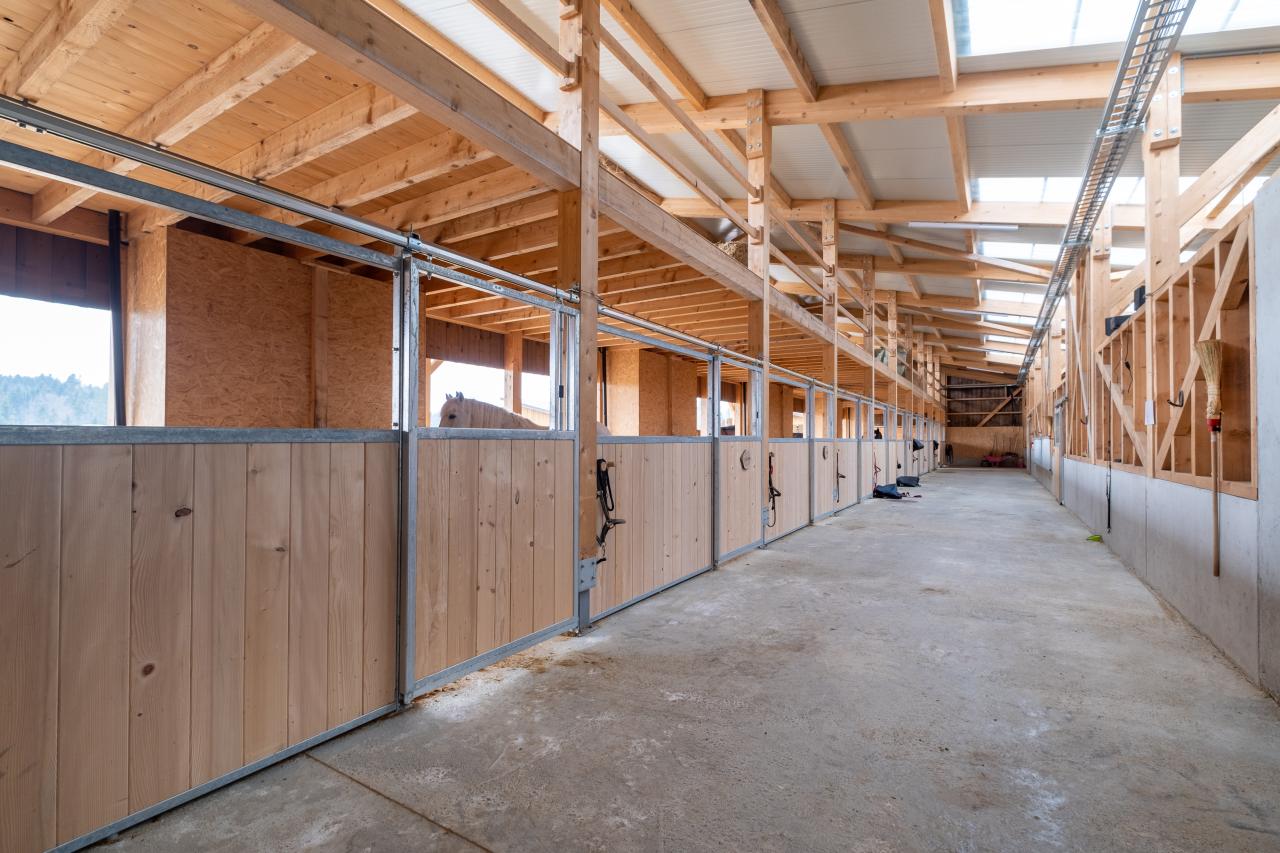 referenzobjekt-pferdestall-boxen-3