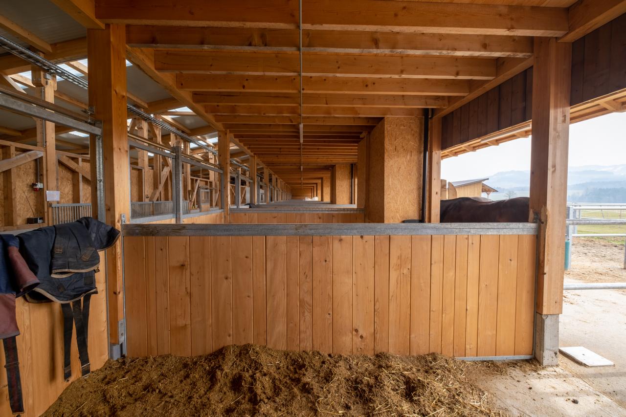 referenzobjekt-pferdestall-boxen-2