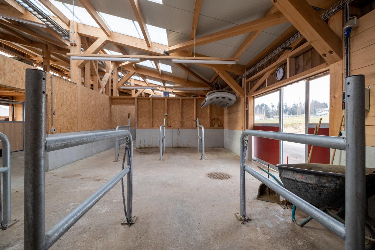 referenzobjekt-allerei-fasel-pferdestall-waschplatz