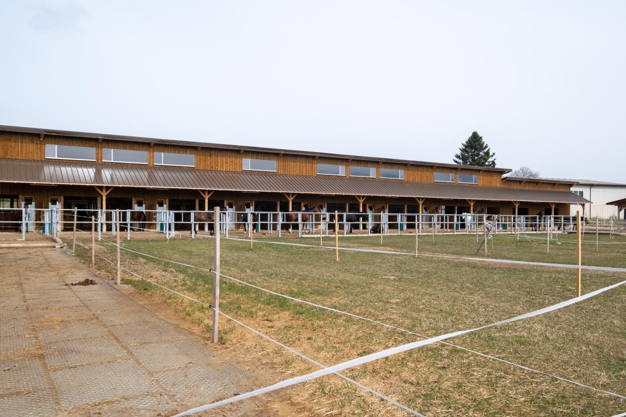 referenzobjekt-allerei-fasel-pferdestall-weide