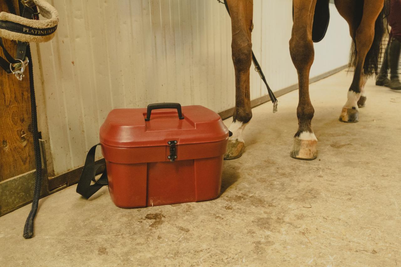 neues-sattelkammer-zubehoer