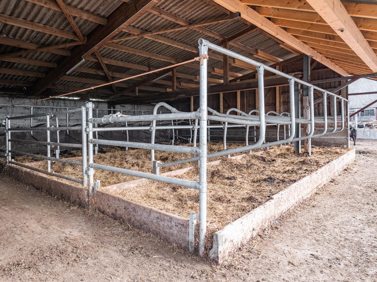 sprungrohr-im-stall-fuer-was