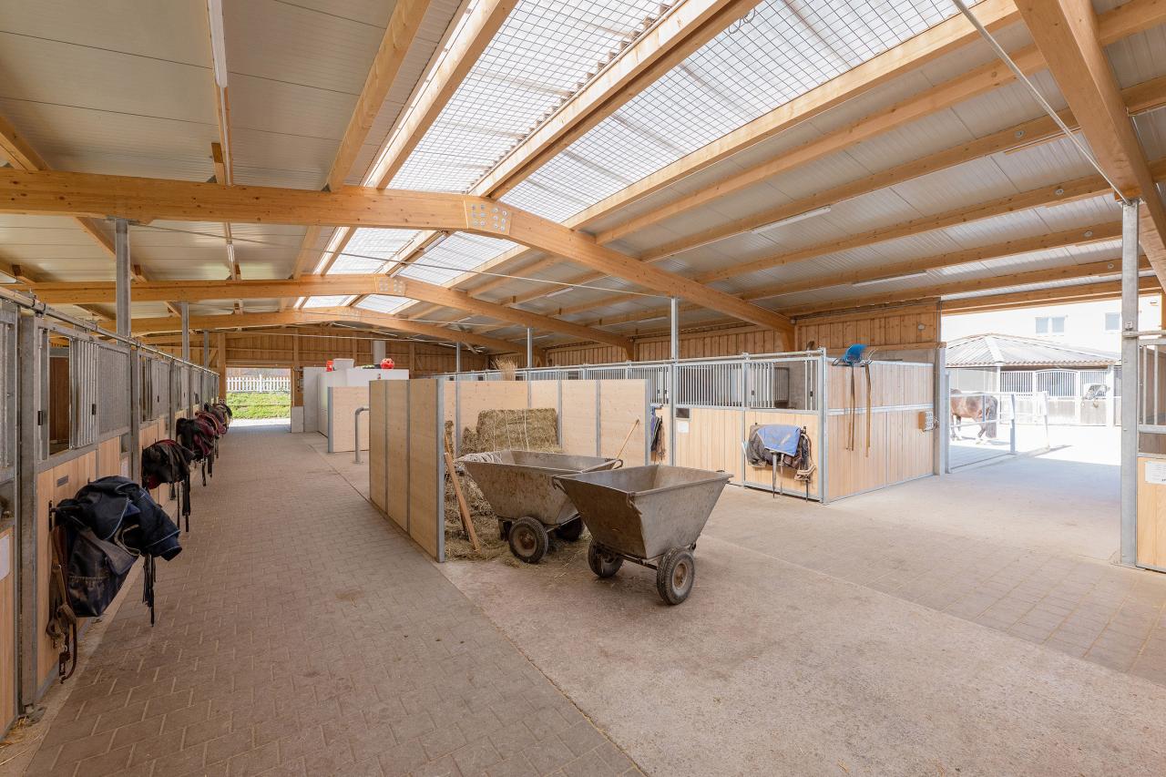 roland-moos-referenz-stallbau-pferde