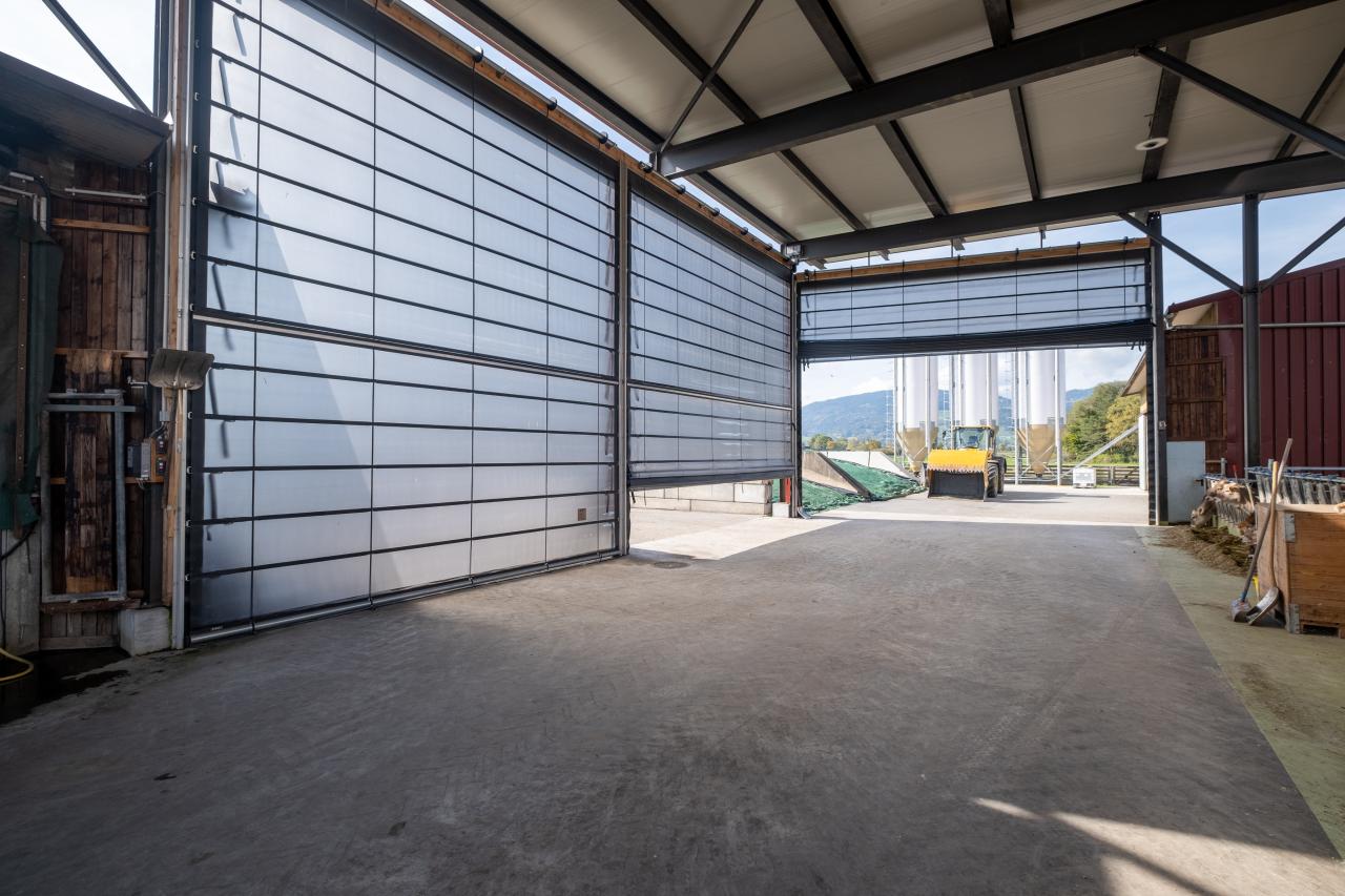 faltfronten-in-oberriet-1