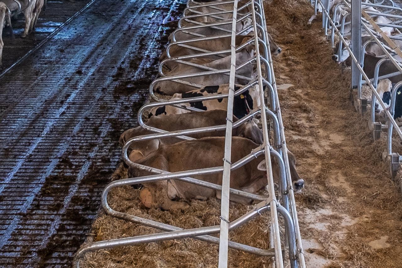 richtig-liegen-nackengurt