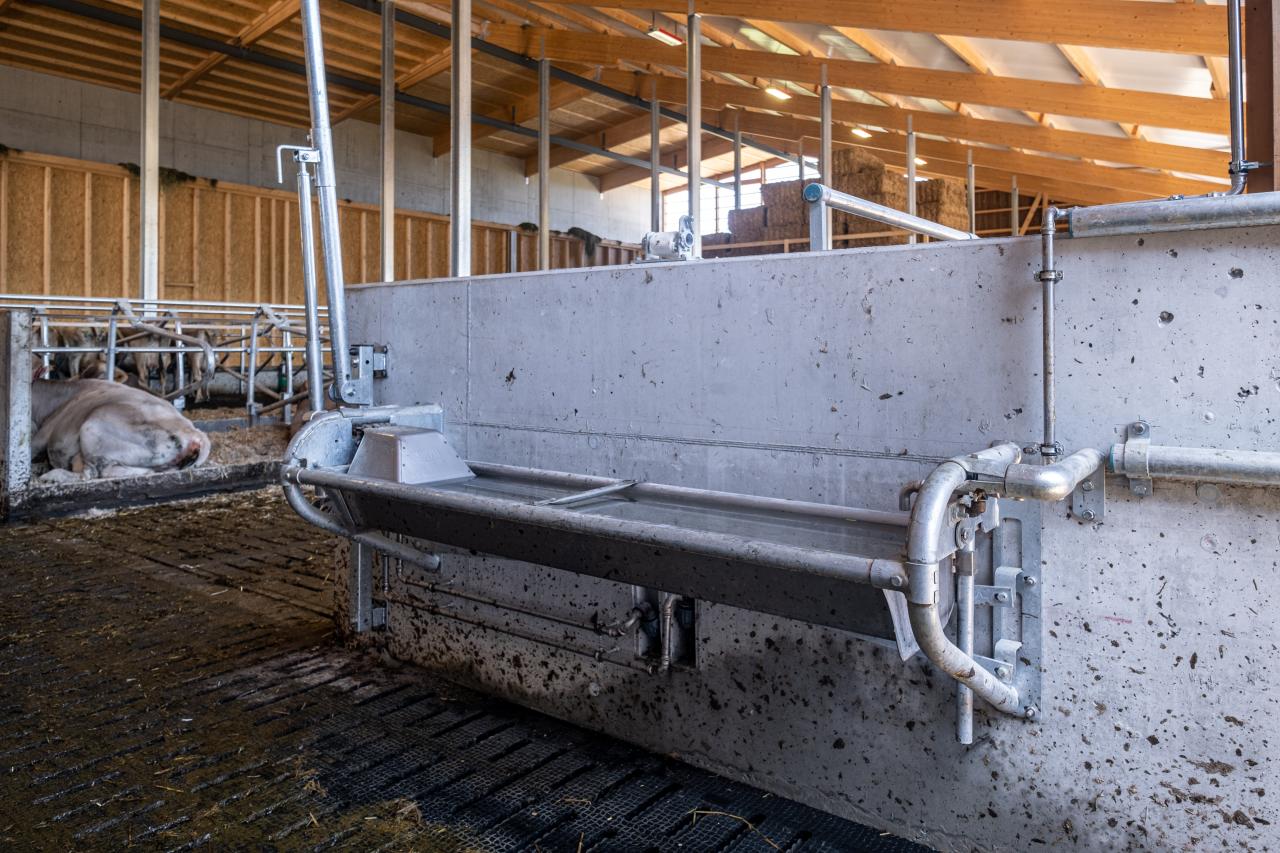 endwaende-mit-trankebecken