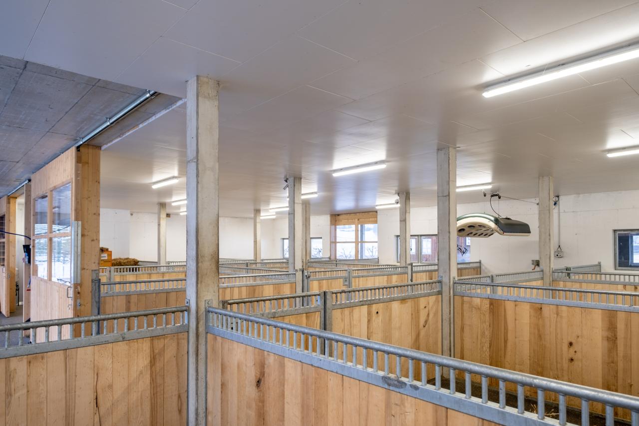 pferdestall-neubau-sozialkontakt-3