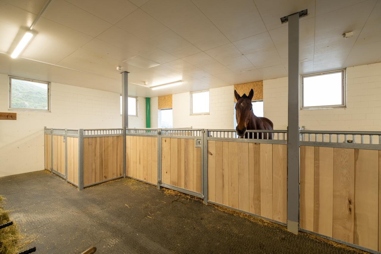 flexibels-pferdehaltungssystem-gruppen-oder-einzelhaltung-6