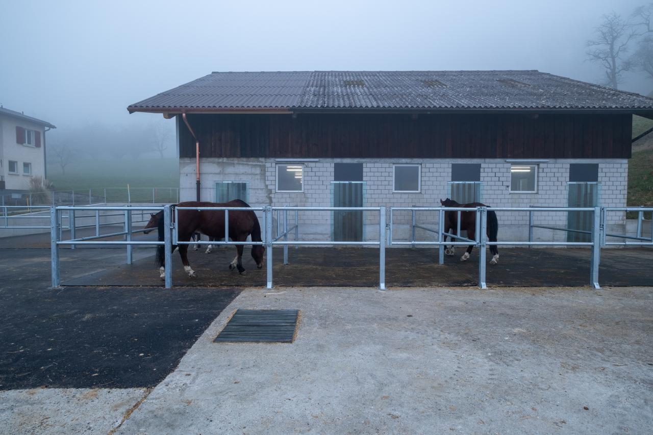 flexibles-pferdehaltungssystem-einzel-gruppenhaltung-1