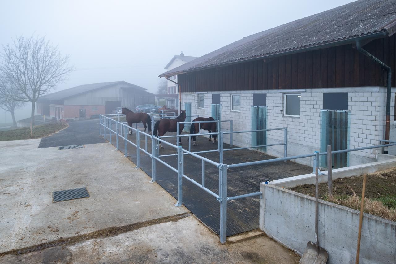 flexibels-pferdehaltungssystem-gruppen-oder-einzelhaltung-7