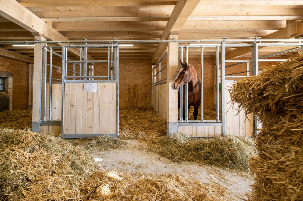 einzelbox-referenz-pferdestall-riggisberg