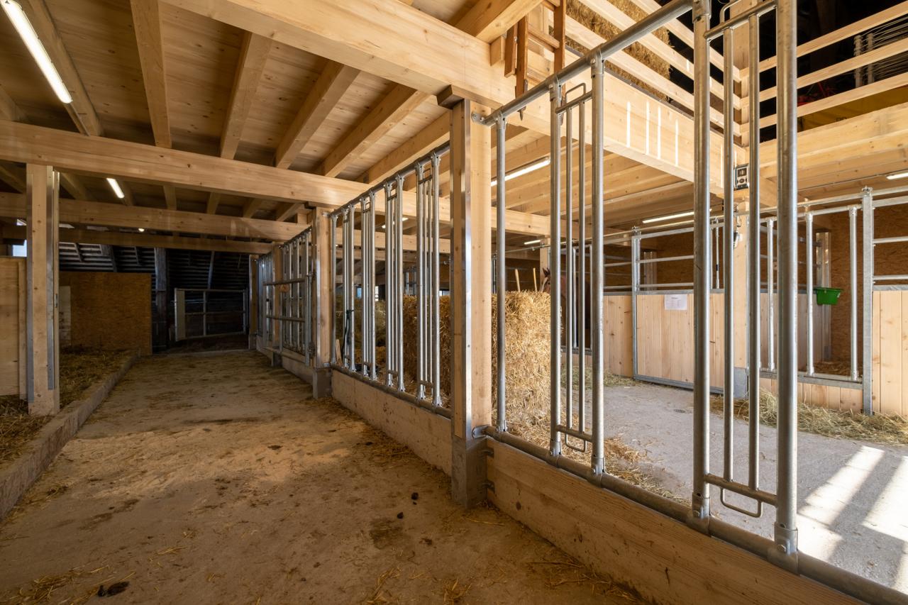 perspektive-fresszaun-gruppenhaltung-stallinneres-referenz-pferdestall-riggisberg