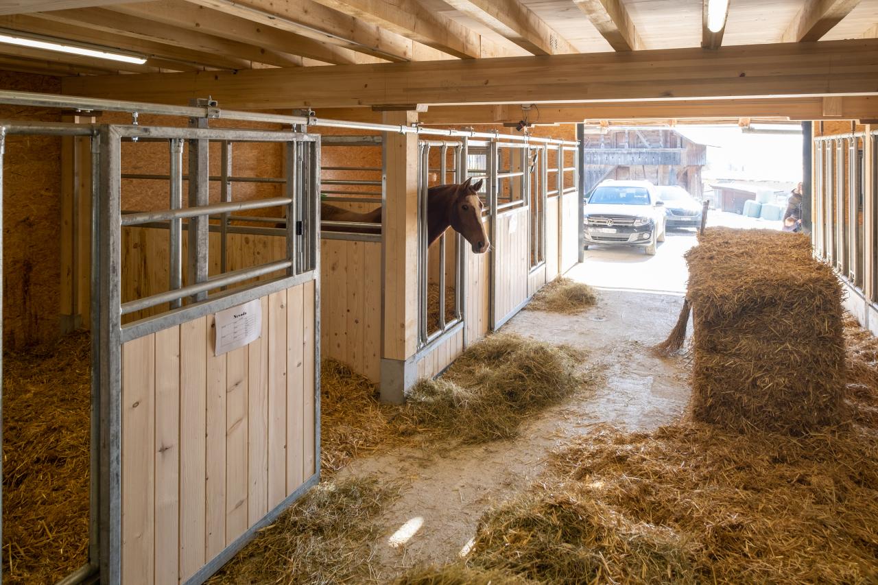 stallinneres-referenz-pferdestall-riggisberg