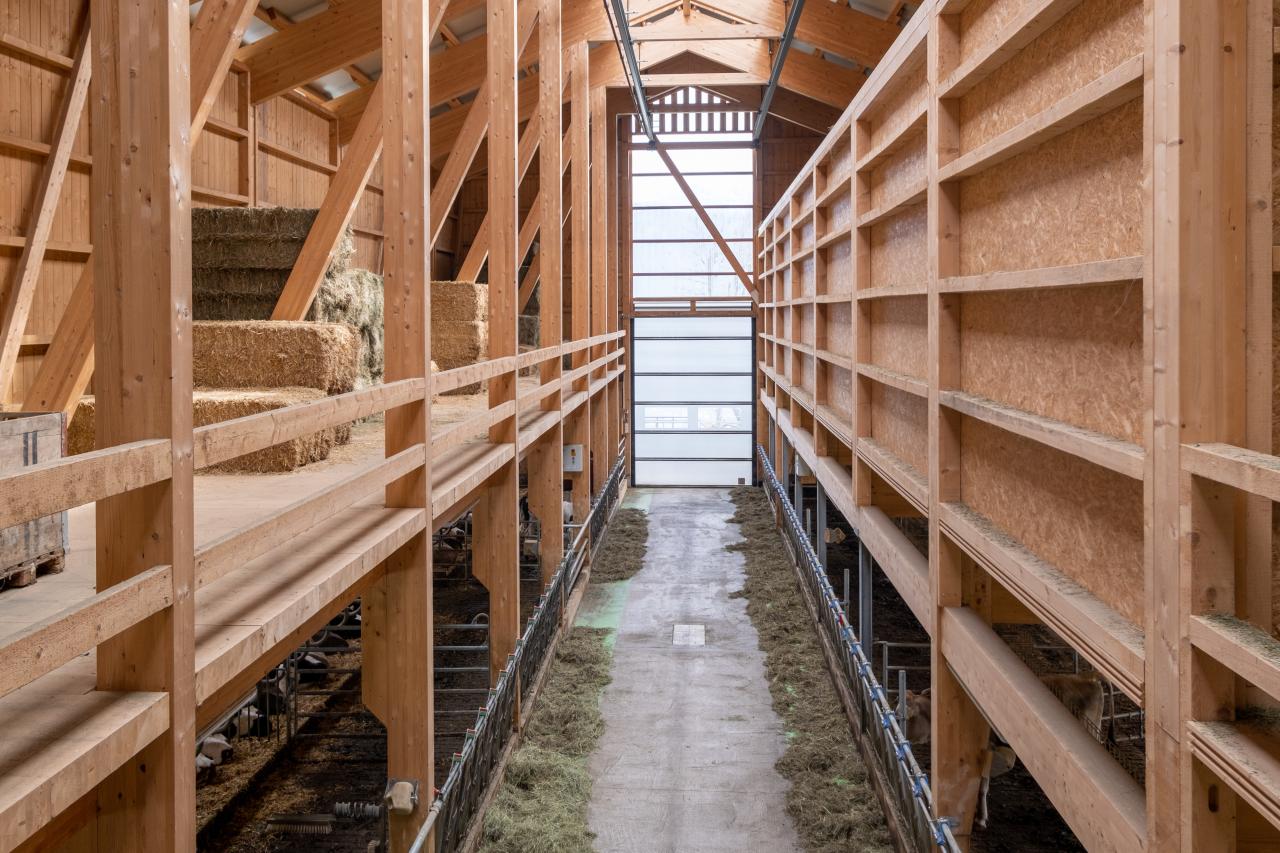 mast-und-zuchtstall-mastrils-2