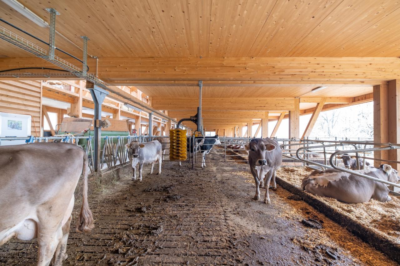 mast-und-zuchtstall-mastrils-3