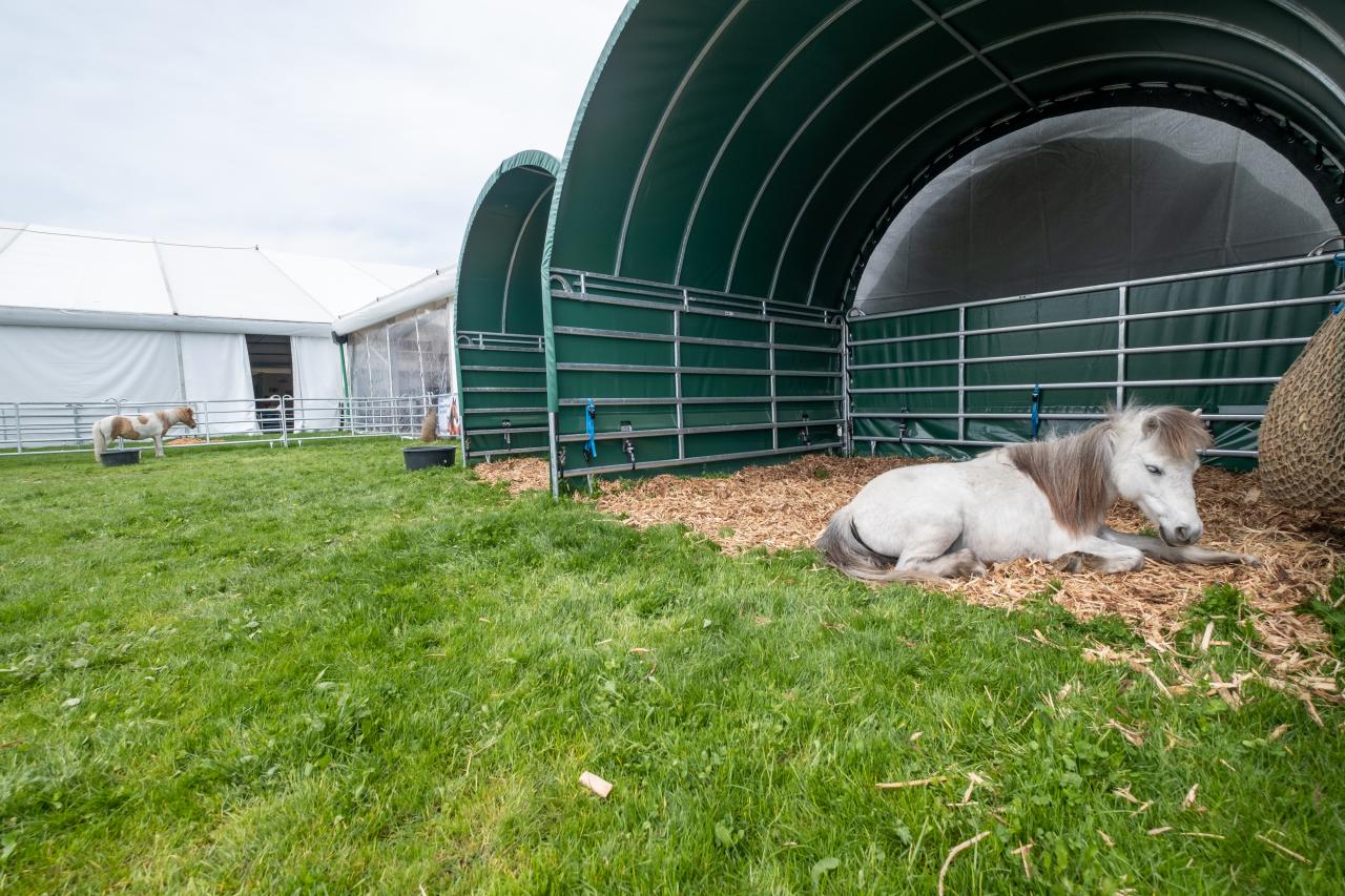 bea-pferdehaltung-messe-2023-2