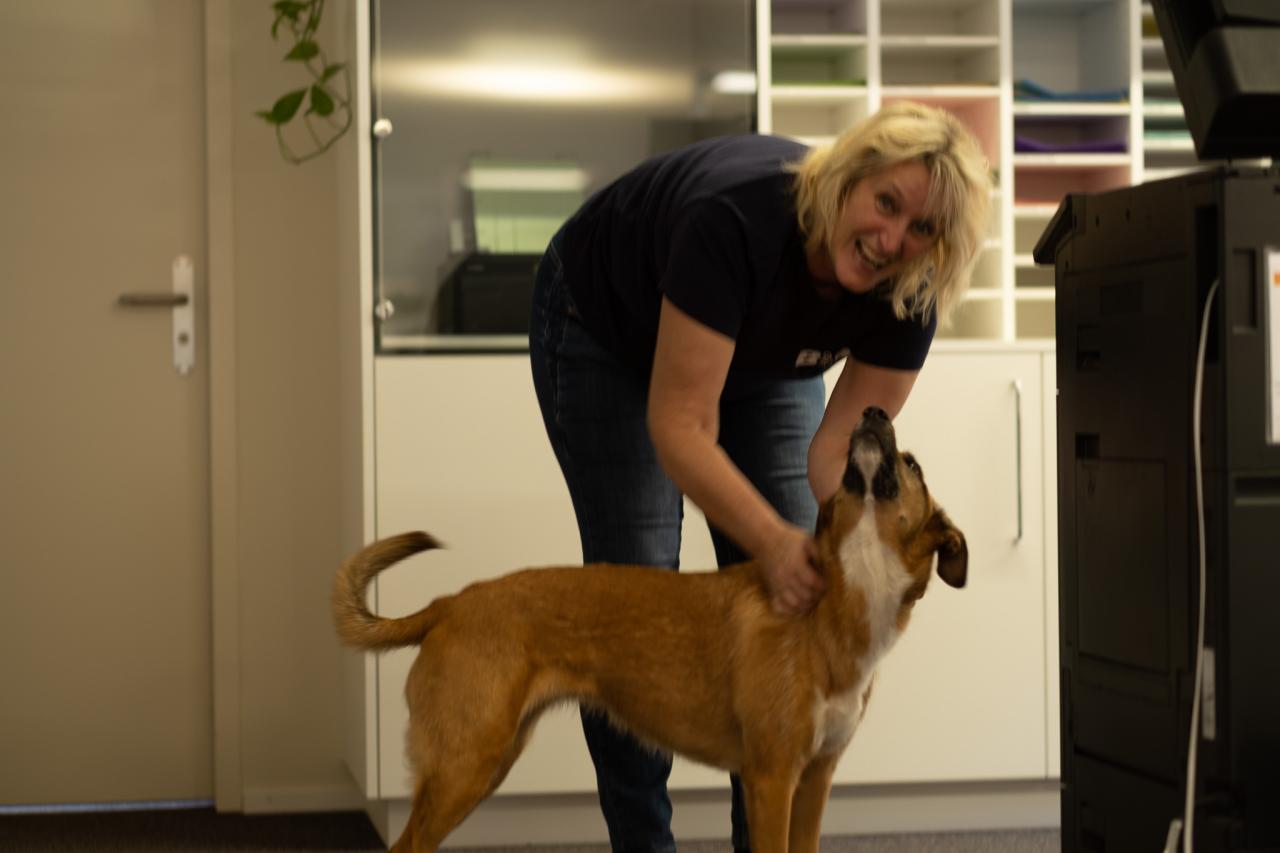 yvonne-wernli-verantwortliche-it